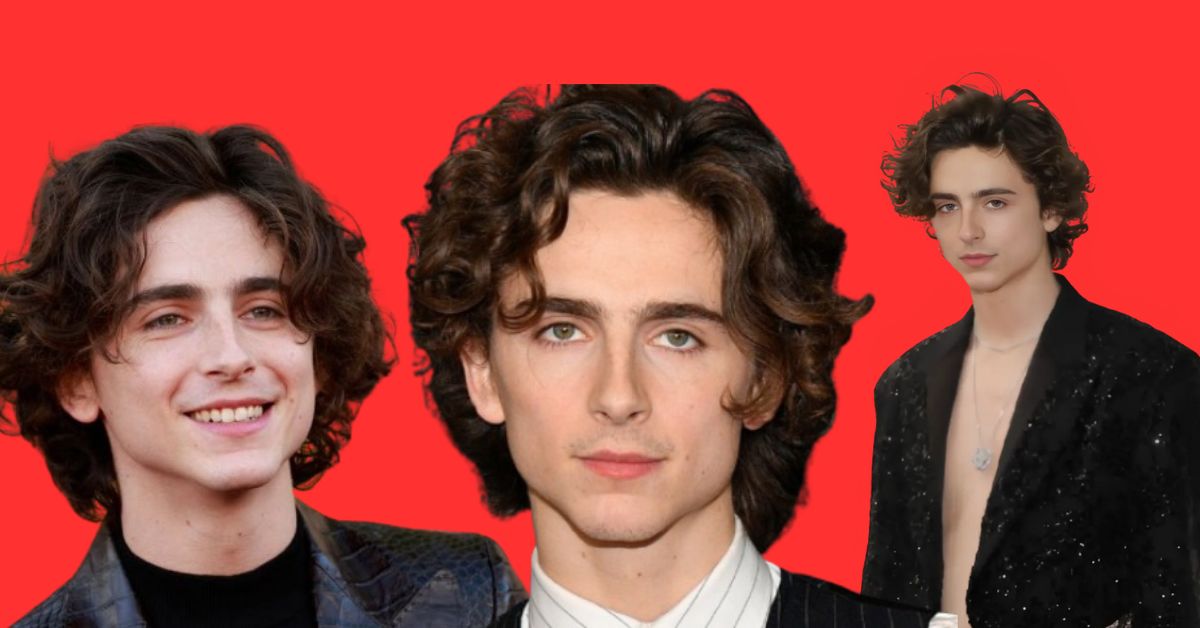 Timothee Chalamet’s measurements, bio, height, weight, and shoe size